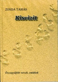 Kisvizit