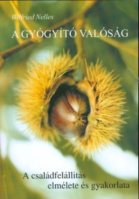 A gyógyító valóság
