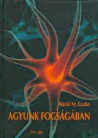 Agyunk fogságában