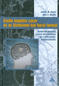 Enyhe kognitív zavar és az Alzheimer-kór korai formái