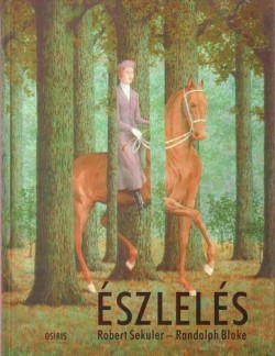 Észlelés