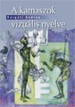 A kamaszok vizuális nyelve