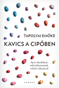 Kavics a cipőben